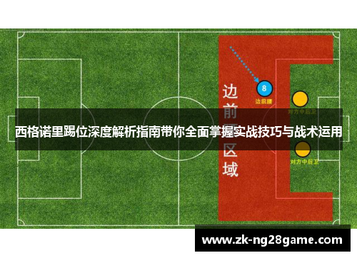 西格诺里踢位深度解析指南带你全面掌握实战技巧与战术运用