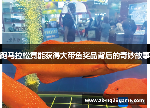 跑马拉松竟能获得大带鱼奖品背后的奇妙故事
