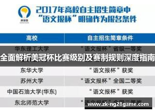 全面解析美冠杯比赛级别及赛制规则深度指南