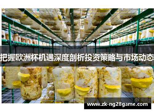 把握欧洲杯机遇深度剖析投资策略与市场动态 把握欧洲杯机遇深度剖析投资策略与市场动态