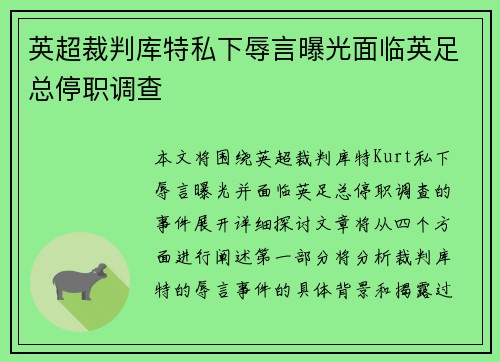 英超裁判库特私下辱言曝光面临英足总停职调查